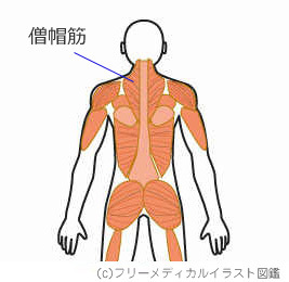 ▲クリックして拡大