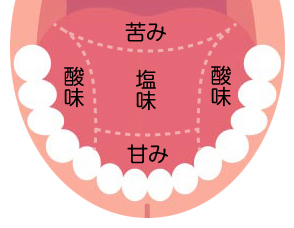 味覚障害の症状・原因について - 【公式】横幕鍼灸院